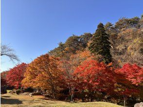 【秋田県・能代市】恋文の里歩きと職人技術に触れる組子細工体験