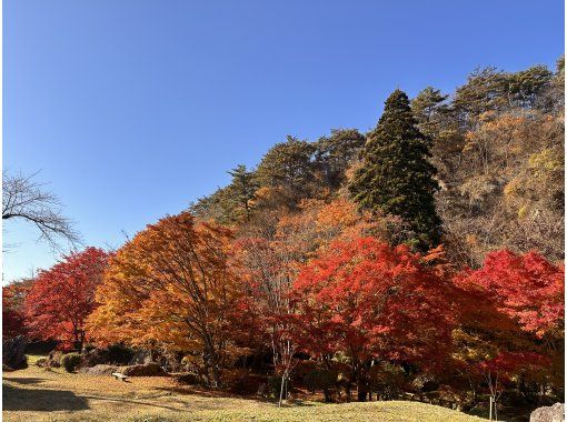 【秋田県・能代市】恋文の里歩きと職人技術に触れる組子細工体験の画像