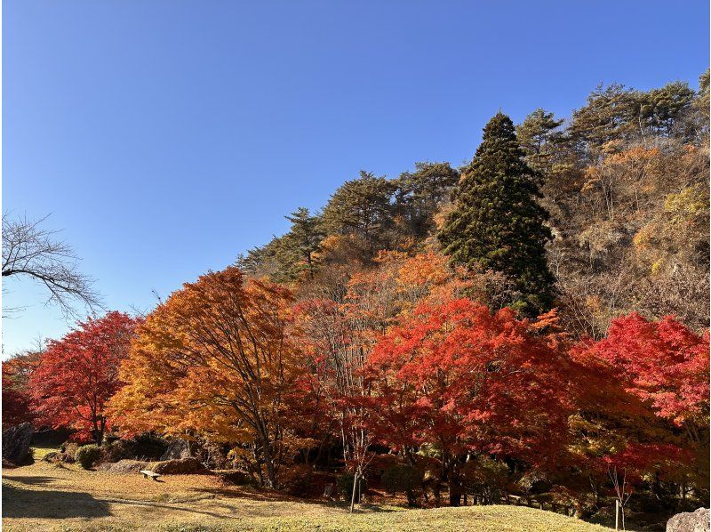 【秋田县能代市】漫步恋文村，体验久美子工艺の紹介画像