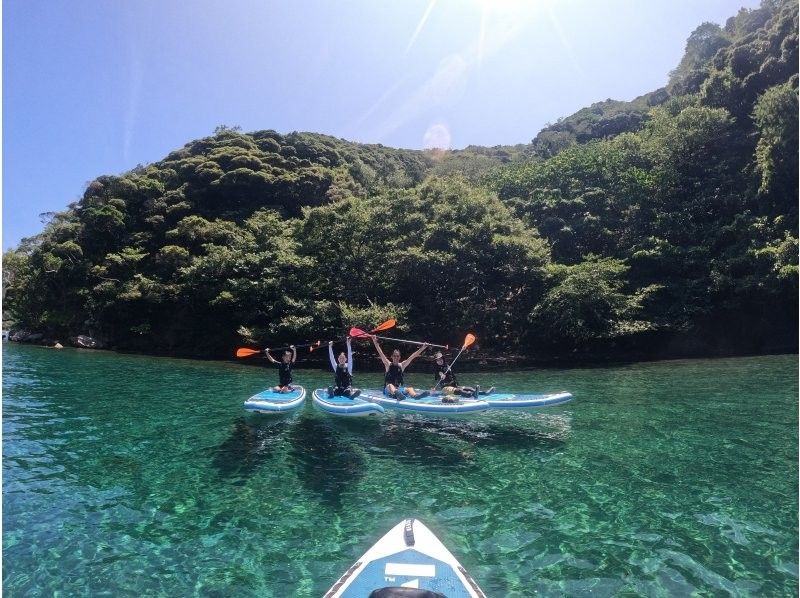 【若狭・常神】若狭湾　青の洞窟SUPツアー（１日限定４組）の紹介画像