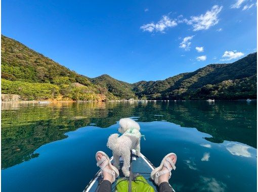 [Wakasa/Tsunegami Peninsula] Autumn Chill SUP Tour "Watch the sky and autumn leaves reflected on the water!"の画像