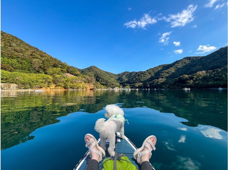 【若狭・常神半島】秋のチルSUPツアー《海面に映る空や紅葉のリフレクションを眺めよう！》の紹介画像