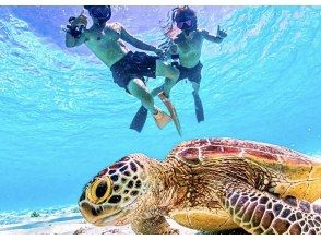 [沖繩宮古島] ★提供免費接送★開業特惠★[海龜與尼莫浮潛]〈邂逅率依然100％！ 〉當天接受預約！