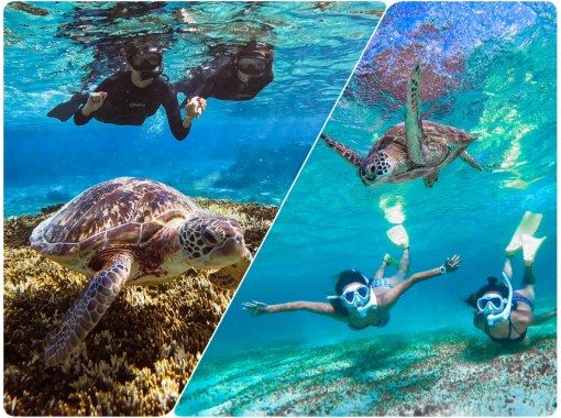 [Miyakojima/Shuttle included] ★Great opening sale★ [Very popular! Sea turtle and Nemo snorkeling] <100% encounter rate continues!> Same-day reservations welcome!の画像