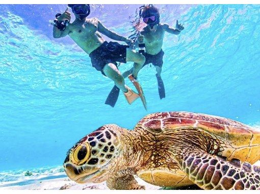 【宮古島/送迎可能】★お得なオープン記念セール中★【大人気！ウミガメ・ニモシュノーケリング】〈遭遇率100％継続中！〉当日予約大歓迎！の画像