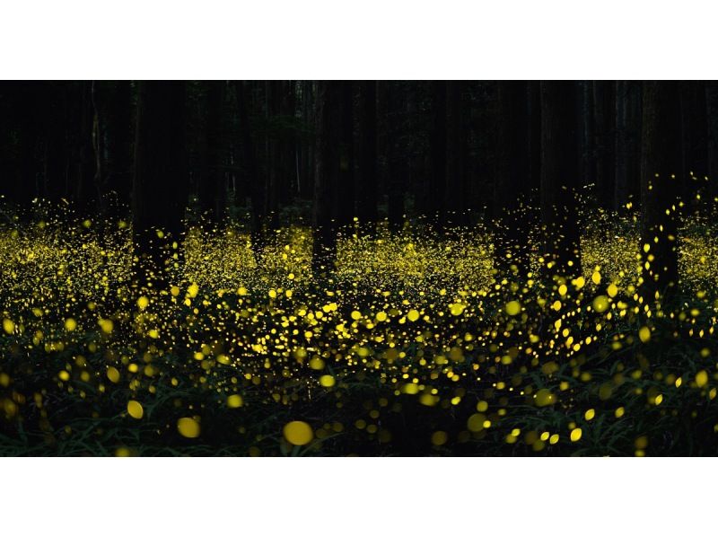 【北海道・SUP体験】透明度の高い支笏湖の湖面をクルージング！SUP体験（半日コース）の画像