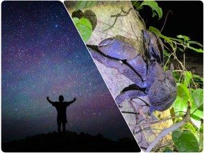 【宮古島/送迎可能】★当日予約OK★【子供に大人気!南国の星空×ジャングルナイトツアー】☆ヤシガニ遭遇率100%継続中☆星空撮影も☆
