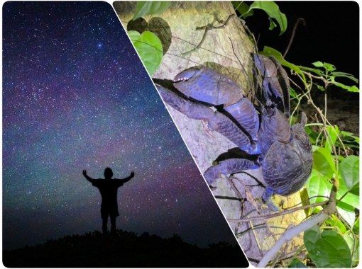 【宫古岛/可接送】★可当天预约★【深受孩子们喜爱！热带星空×丛林夜游】☆100%邂逅椰子蟹☆可拍摄星空☆の画像
