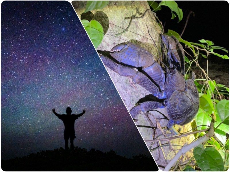 [Miyakojima/Pickup available] ★Same-day reservations accepted★ [Very popular with children! Tropical starry sky x jungle night tour] ☆100% chance of encountering coconut crabs☆Starry sky photography available☆の紹介画像