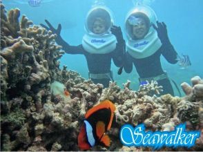 《Underwater walk in Ishigaki Island!》 Sea walker by boat, your face won't get wet, safe even if you can't swim, recommended for women too! (Free photo data)