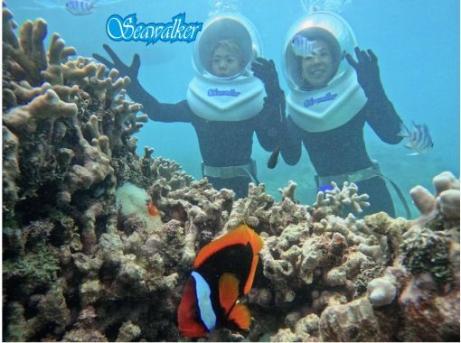 《Underwater walk in Ishigaki Island!》 Sea walker by boat, your face won't get wet, safe even if you can't swim, recommended for women too! (Free photo data)の画像