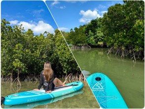 [Miyakojima/Limited to one group!] ★Opening sale★ [Irabujima Mangrove SUP Tour] ★Great value transfer included★