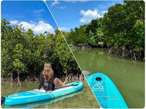 [Miyakojima/Pick-up available] ★Grand opening sale★ [Irabujima Mangrove SUP Tour] ★Reservations the day before or on the day are welcome★の画像