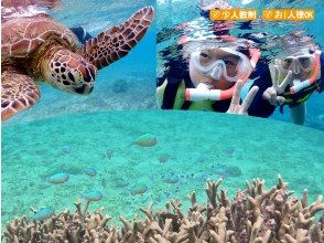 【奄美・北部】少人数制ツアー、おひとりご参加OK！女性ガイドが案内する 半日ビーチシュノーケリング（送迎付き）