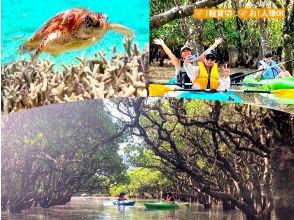 【鹿児島・奄美】北部〜名瀬エリア送迎可能！ “1組貸切ツアー” 女性ガイドが案内する ビーチシュノーケリング＆マングローブカヤック