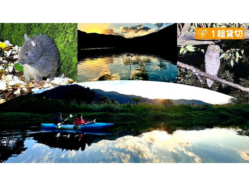 【北海道・SUP体験】透明度の高い支笏湖の湖面をクルージング！SUP体験（半日コース）の画像