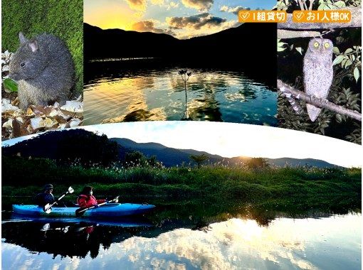 【鹿児島・奄美】北部〜名瀬エリア送迎可能！ “1組貸切ツアー” 女性ガイドが案内する 夕暮れ時マングローブカヤック＆ナイトツアーの画像