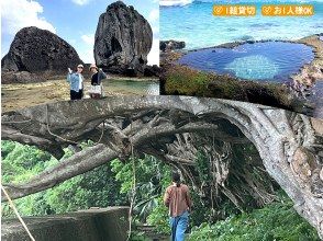 【奄美・北部】 “1組貸切” おひとりご参加OK、女性ガイドが案内する ＜半日＞ネイチャーヒーリングツアー（送迎付き）