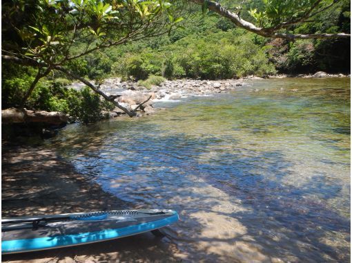【鹿児島・屋久島】夏はSUP！安房川でリバーサップ☆SUP初心者・お一人様OK！半日コース（午前/午後）の画像