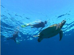 【沖縄・石垣島】13:30発ボートで行く！サンゴとウミガメシュノーケル♪絶景のサンゴ礁スポットに海ガメを探しに行こう！