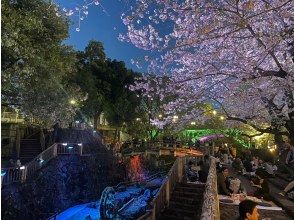 [Tokyo, Oji] Experience sake tasting at a historic sake brewery that is an important cultural property, enjoy cherry blossom viewing in a premium seat, and enjoy a cherry blossom viewing lunch!