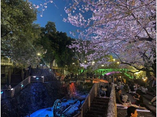 [Tokyo, Oji] Experience sake tasting at a historic sake brewery that is an important cultural property, enjoy cherry blossom viewing in a premium seat, and enjoy a cherry blossom viewing lunch!の画像