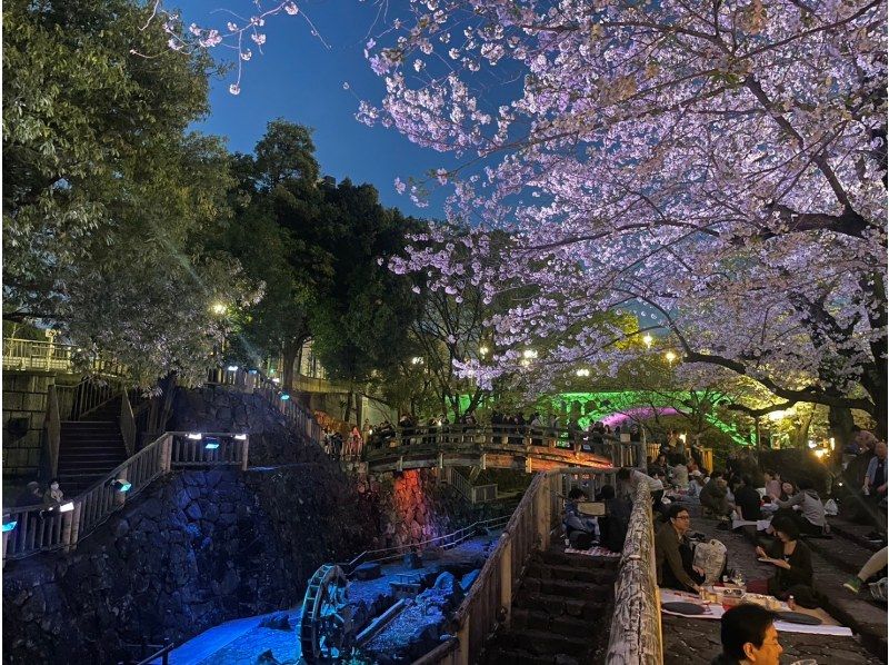 [Tokyo, Oji] Experience sake tasting at a historic sake brewery that is an important cultural property, enjoy cherry blossom viewing in a premium seat, and enjoy a cherry blossom viewing lunch!の紹介画像