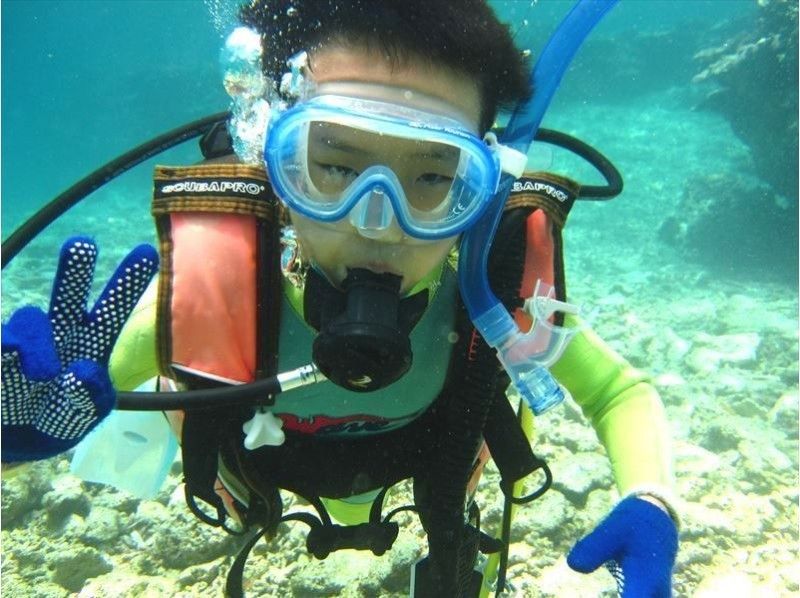 [冲绳石垣岛]通过在海中玩耍（体验潜水）在岛上观光的贪婪享受课程の紹介画像