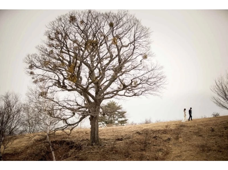 [Karuizawa] ONE DAY Wedding Photo Planの紹介画像