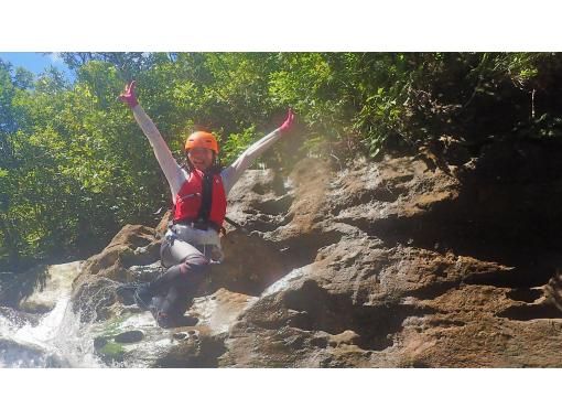 【西表島】亜熱帯の島体験「１日森林浴ツアー」通年。初心者歓迎。ゆったりまったり！グループ割・昼食付・竹富島や石垣島からの日帰りOK（6時間）の画像