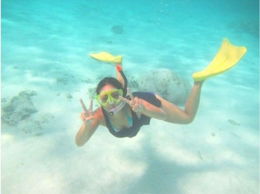 [Okinawa Ishigaki Island] Enjoy Churaumi "Ishigaki Island"! Snorkeling (half-day course)の画像
