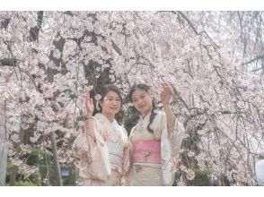 [Miyagi, Shibata] Shibata Hitome Senbonzakura! Walk along the spectacular cherry blossom road in a kimono! Rental kimono plan and optional professional photographer photoshoot available