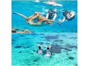 【川平クリアSUP➕青の洞窟ウミガメ遭遇率99.9%シュノーケル】➕『癒しの滝』川平湾4Kドローン＆ゴープロ撮影データ無料！少人数制！