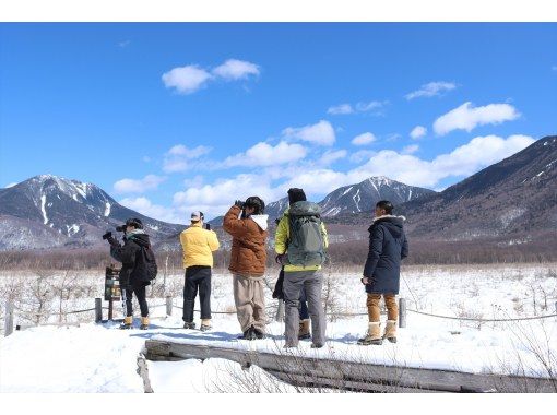 『冬の戦場ヶ原をガイドと一緒にハイキング！』道具無料レンタル「栃木・奥日光」の画像
