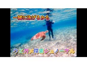 高確率でウミガメに出会える天然ビーチシュノーケリングを貸し切りで！～ウミガメ探索コース～写真・動画撮影無料♪ツアー終了後にデータでプレゼント