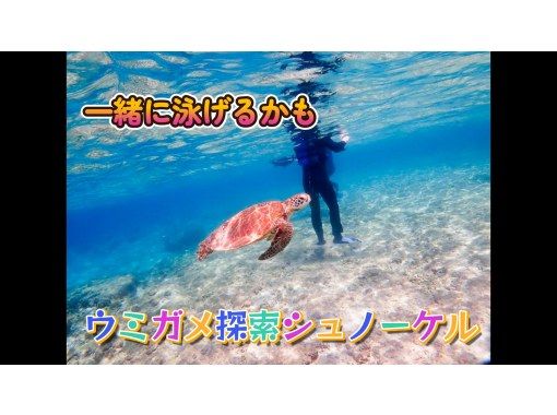 Private snorkeling on a natural beach where you have a high chance of encountering sea turtles! ~ Sea turtle exploration course ~ Free photo and video shooting ♪ Data will be presented to you after the tourの画像