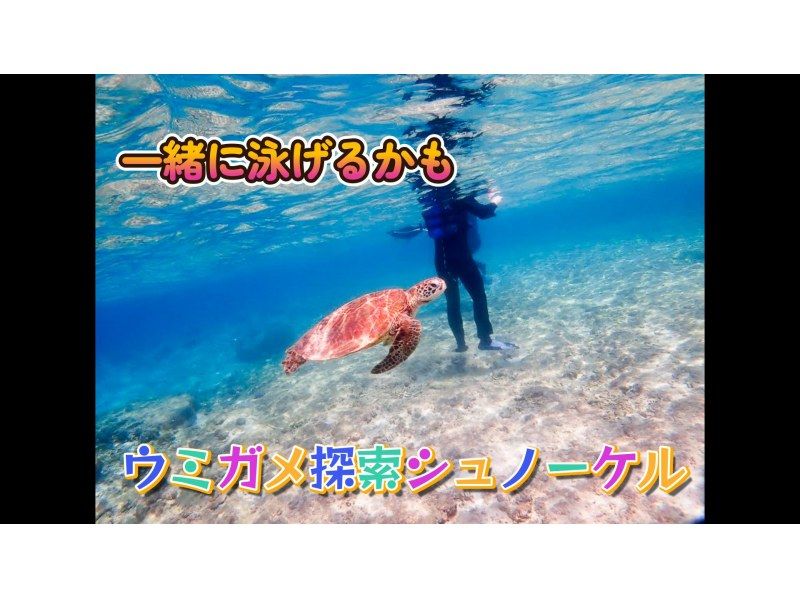 Private snorkeling on a natural beach where you have a high chance of encountering sea turtles! ~ Sea turtle exploration course ~ Free photo and video shooting ♪ Data will be presented to you after the tourの紹介画像