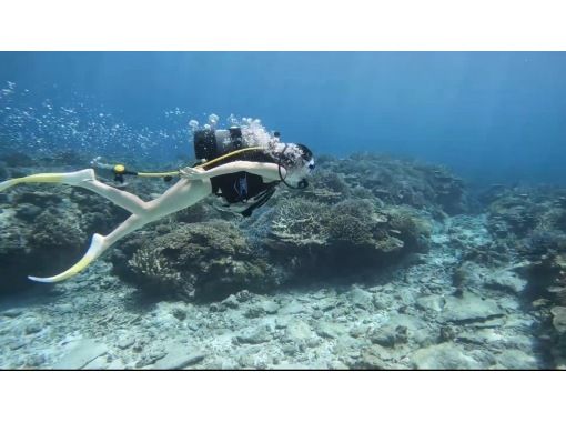 [Okinawa Chatan departure, Sesoko, Minnajima diving] Experience diving 2 DIVE ★ First-timers and those who can't swim can feel safe!の画像
