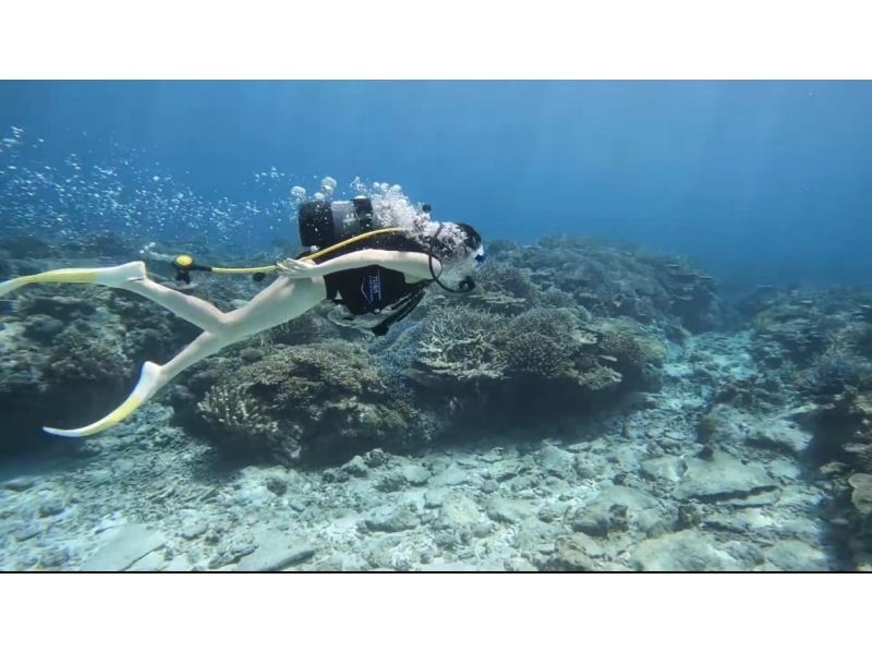 【오키나와 · 차탄 출발 · 세소 · 수나지마 다이빙】 체험 다이빙 2DIVE ★ 첫 분 · 수영하지 않는 분들도 안심!の紹介画像