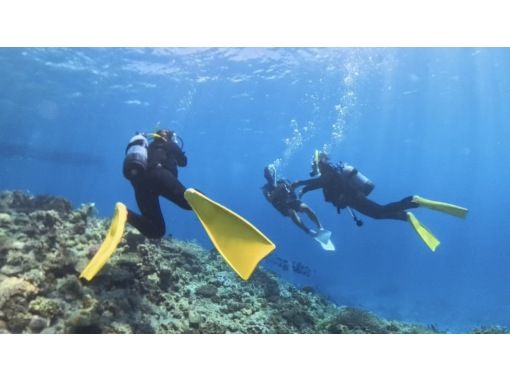 【沖繩、北谷、瀨底、水納島深潛】2次深潛體驗★初次體驗者及不會游泳者也能安心體驗！含免費接送！の画像