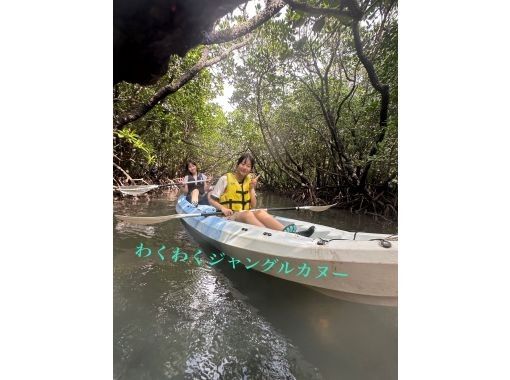 [National Park] [Go by canoe] 90-minute course. Enjoy a fun tour with an experienced island guide. Marine activity tour. Toilets, showers, and free parking!!の画像