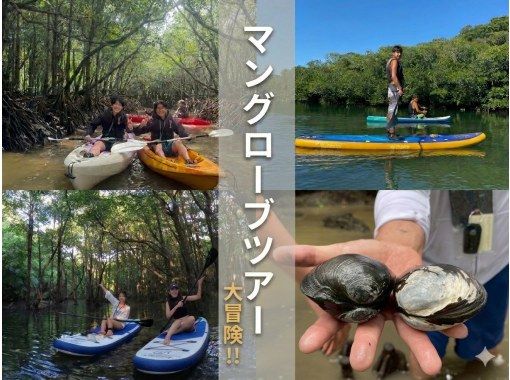 【特安/石垣島】春休みセール！！マングローブカヌー（おやつ付き）写真動画無料！（防水ケースレンタル・駐車場無料トイレ シャワー完備）の画像