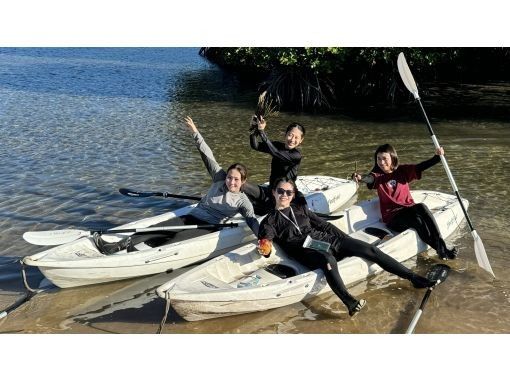 [Mangrove National Park by canoe] 90 minutes. Guided by an experienced local island guide. Marine activity tour. Toilets, showers, and parking available.の画像