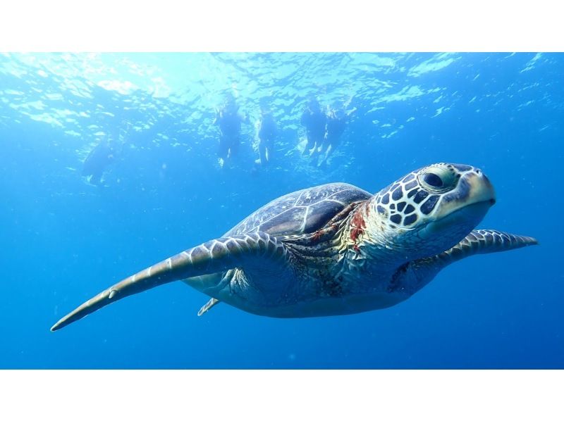 【北海道・SUP体験】透明度の高い支笏湖の湖面をクルージング！SUP体験（半日コース）の画像