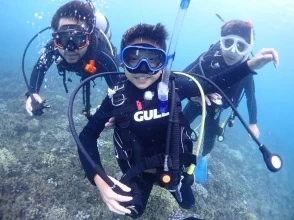 【沖縄・石垣島】幻の島上陸＆体験ダイビング！写真データプレゼント♪