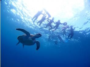 【沖縄・石垣島】幻の島上陸＆ウミガメorマンタシュノーケリング！GoPro無料レンタルあり（午前/午後）