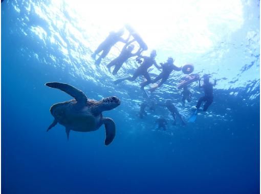 【沖縄・石垣島】幻の島上陸＆ウミガメorマンタシュノーケリング！GoPro無料レンタルあり（午前/午後）の画像