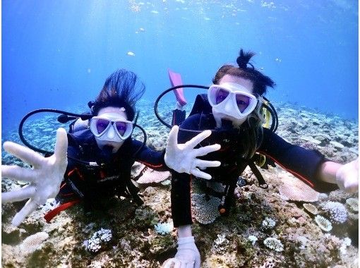 【沖縄・宮古島】ボートで行く体験ダイビング&シュノーケリング1日ツアー・１組限定！GoProレンタル無料！データプレゼント！器材全て込み！の画像