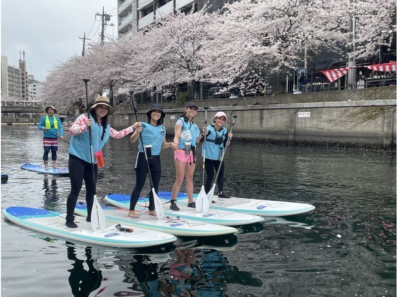 [Yokohama] English guided SUP tour to enjoy the city of Yokohama and the Canal (2 hour course)の紹介画像