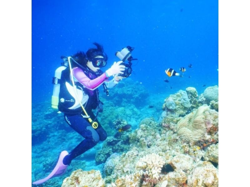 [Okinawa, Ishigaki Island] Special set price! PADI Open & Advanced Course (C-Card Acquisition)の紹介画像